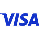 Visa logo in blue and white on a light gray background